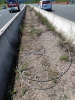 Umsturz - Stromleitung auf Fahrbahn, A3 Richtung Würzburg, 02.06.2020